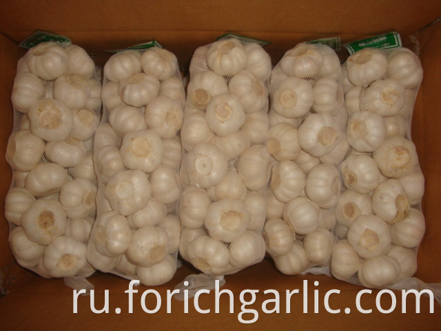 Pure White Garlic